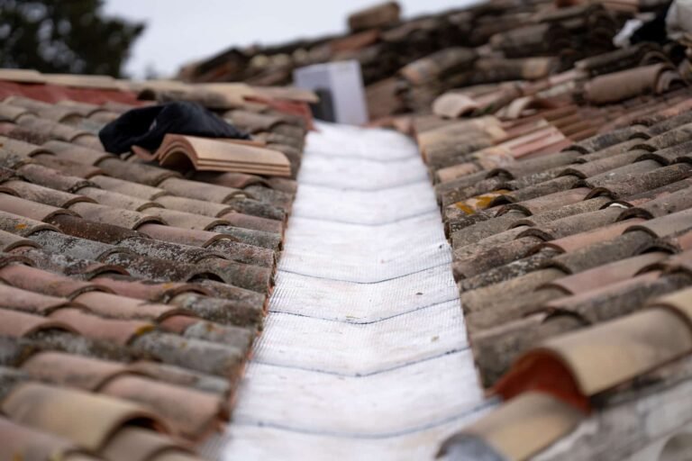 Fuite de toiture causes